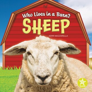 Front cover_Sheep