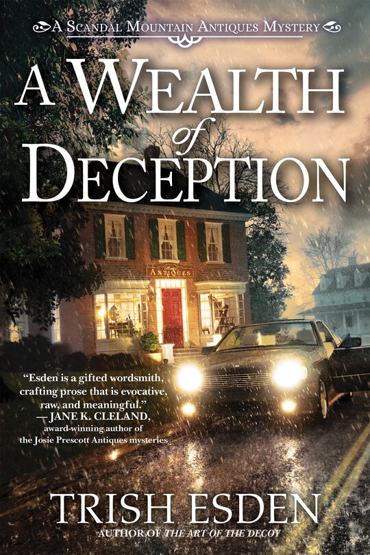Front cover_A Wealth of Deception