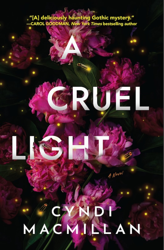 Front cover_A Cruel Light