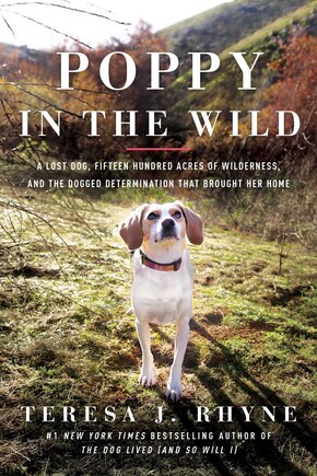 Poppy In The Wild: A Lost Dog, Fifteen Hundred Acres Of Wilderness, And The Dogged Determination That Brought Her Home