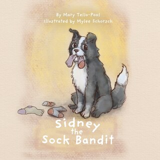 Couverture_Sidney the Sock Bandit
