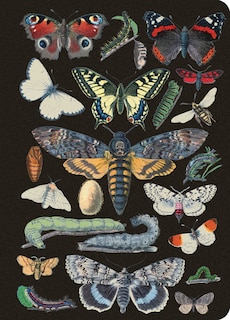 Front cover_Vintage Butterflies Journal / Notebook / Diary - Lined Pages