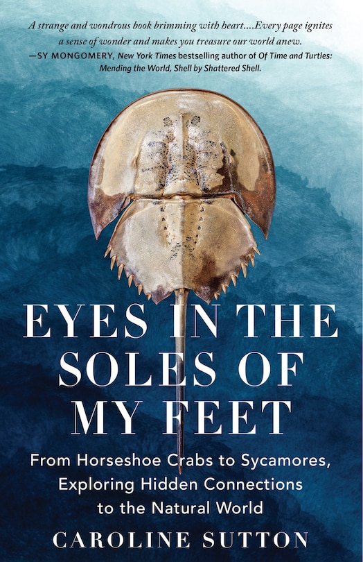Front cover_EYES IN THE SOLES OF MY FEET