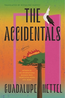 Front cover_The Accidentals