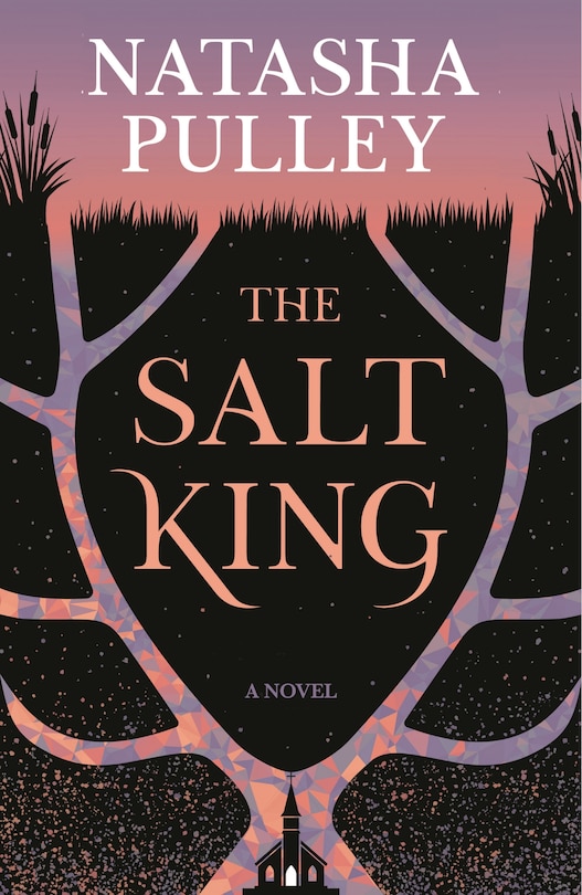 Couverture_The Salt King