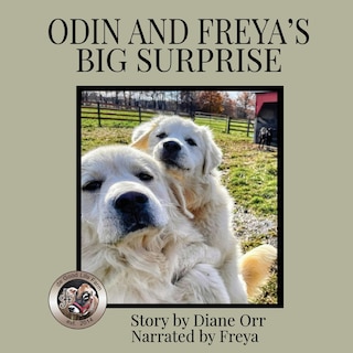 Couverture_Odin and Freya's Big Surprise