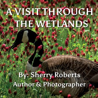Couverture_A Visit Through the Wetlands