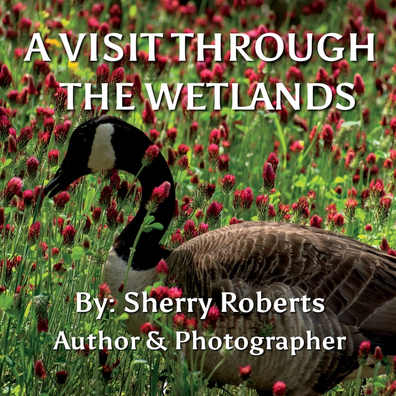 Couverture_A Visit Through the Wetlands