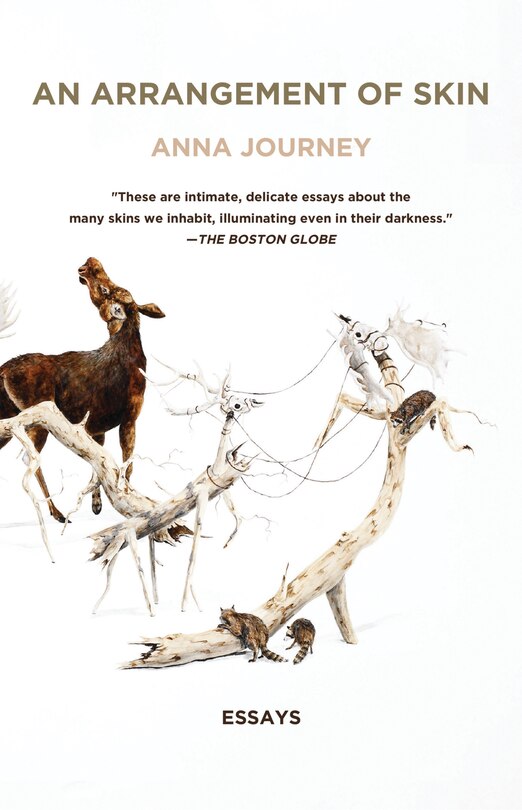 Front cover_An Arrangement Of Skin