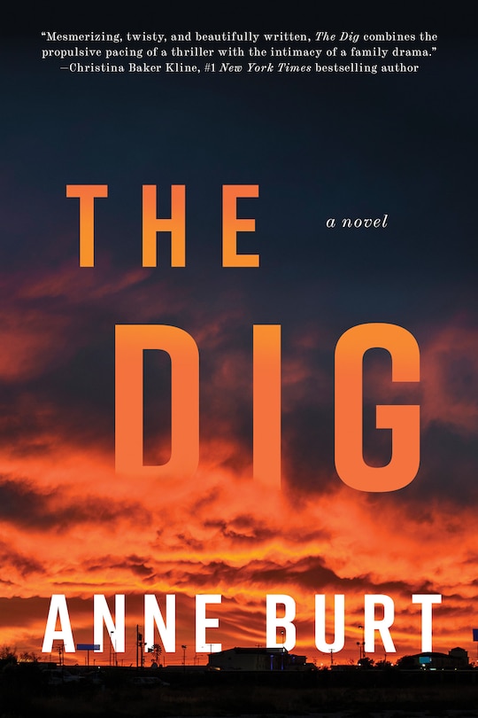 Front cover_The Dig