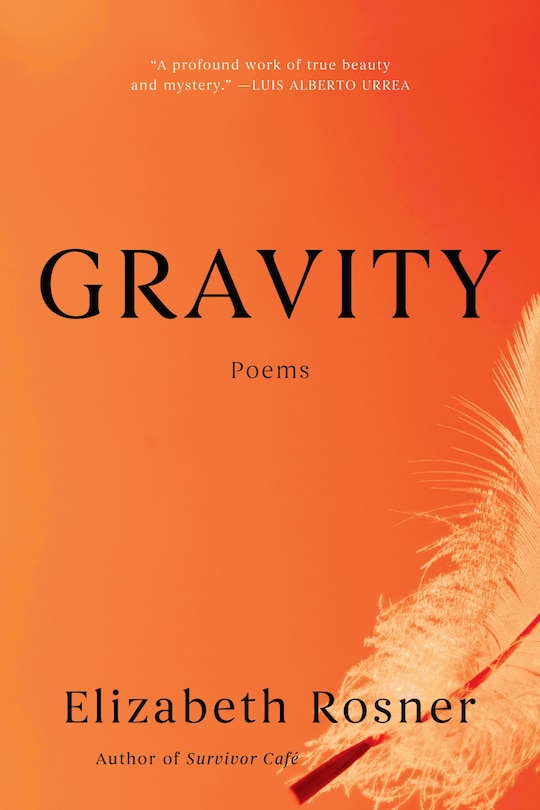 Couverture_Gravity