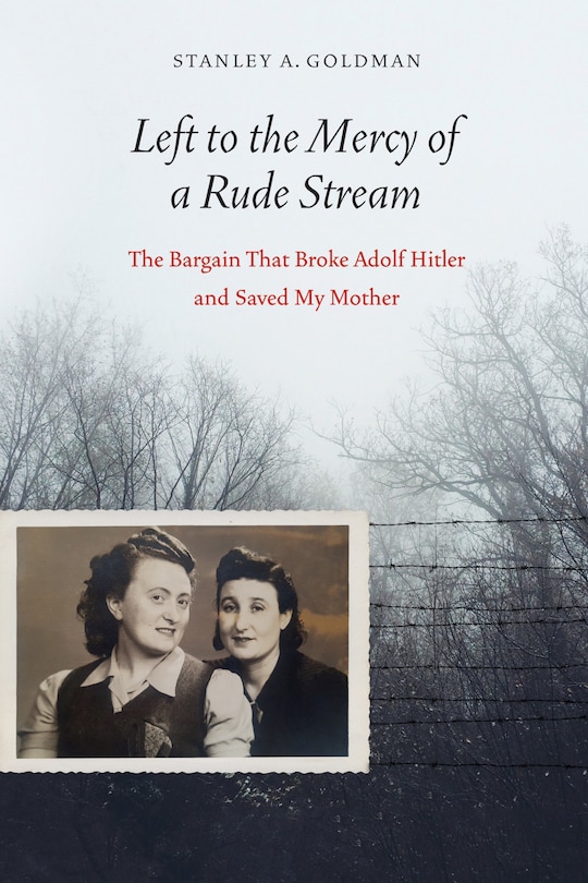 Couverture_Left to the Mercy of a Rude Stream