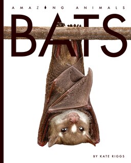 Front cover_Bats