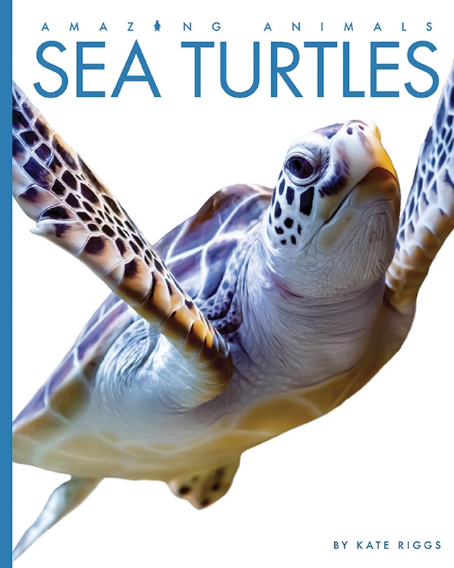Couverture_Sea Turtles