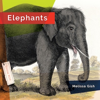 Couverture_Elephants