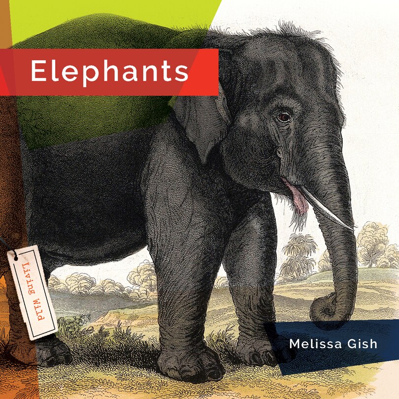 Couverture_Elephants
