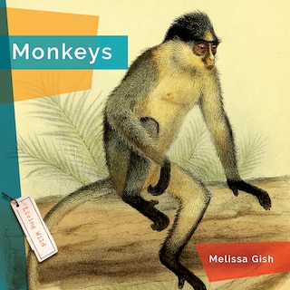 Couverture_Monkeys