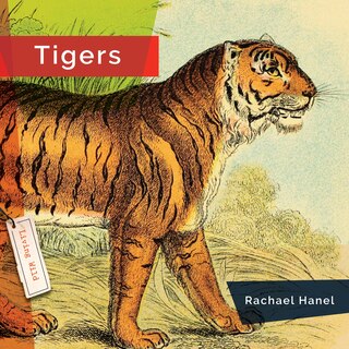 Couverture_Tigers
