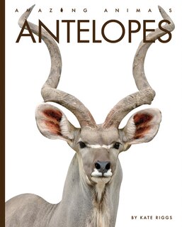 Front cover_Antelopes