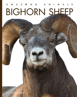 Couverture_Bighorn Sheep