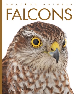 Couverture_Falcons