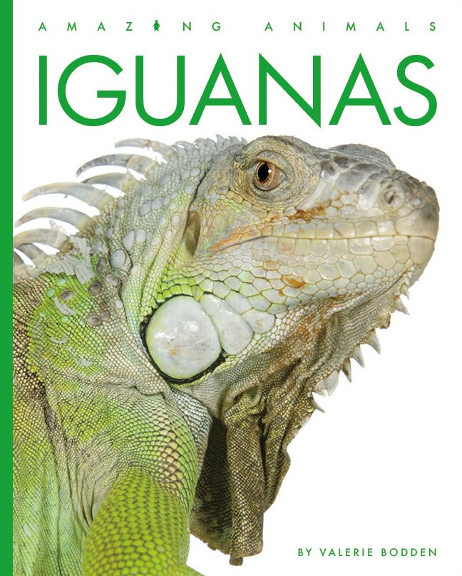 Front cover_Iguanas