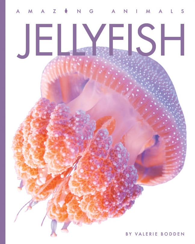 Front cover_Jellyfish