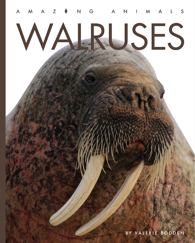 Front cover_Walruses