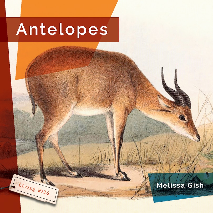 Couverture_Antelopes