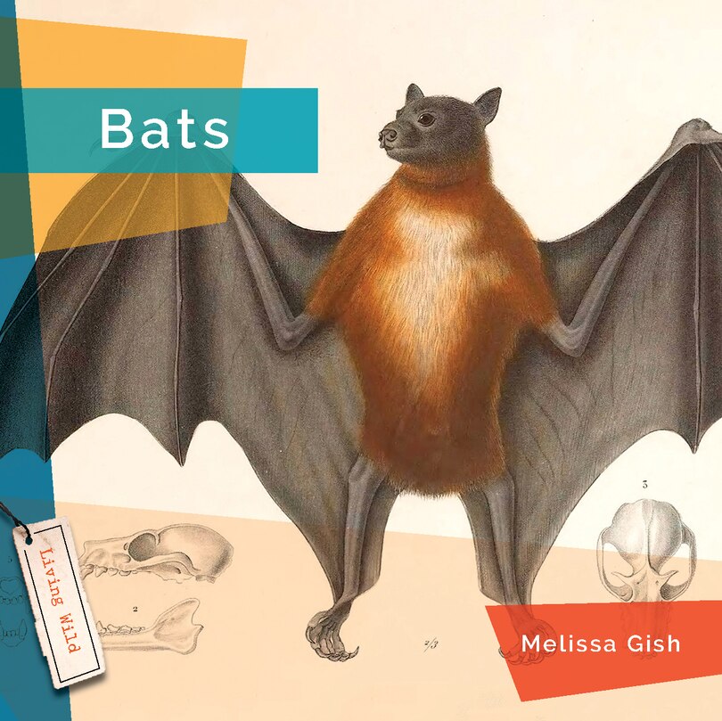 Couverture_Bats