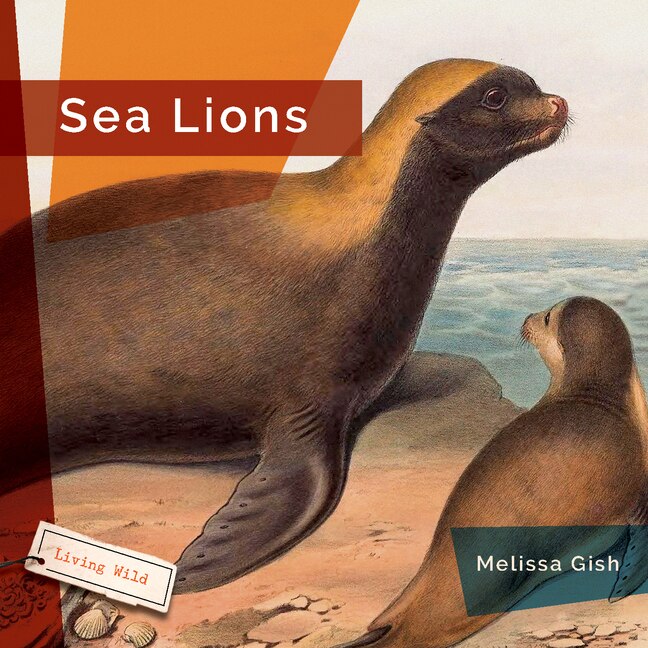 Couverture_Sea Lions