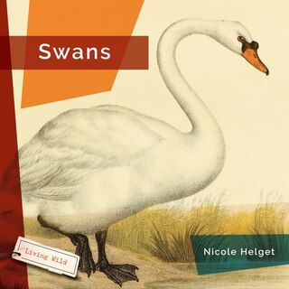 Front cover_Swans