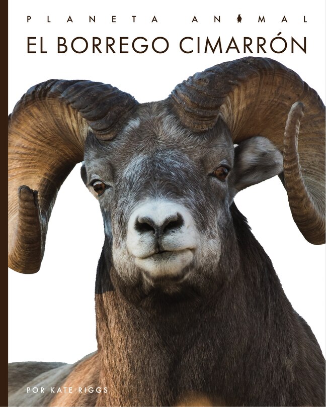 Front cover_El Borrego Cimarrón