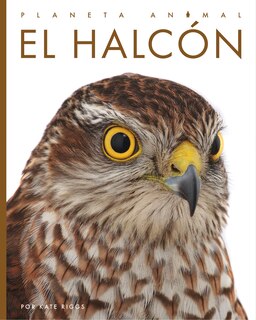 Front cover_El Halcón