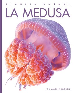 Couverture_La Medusa