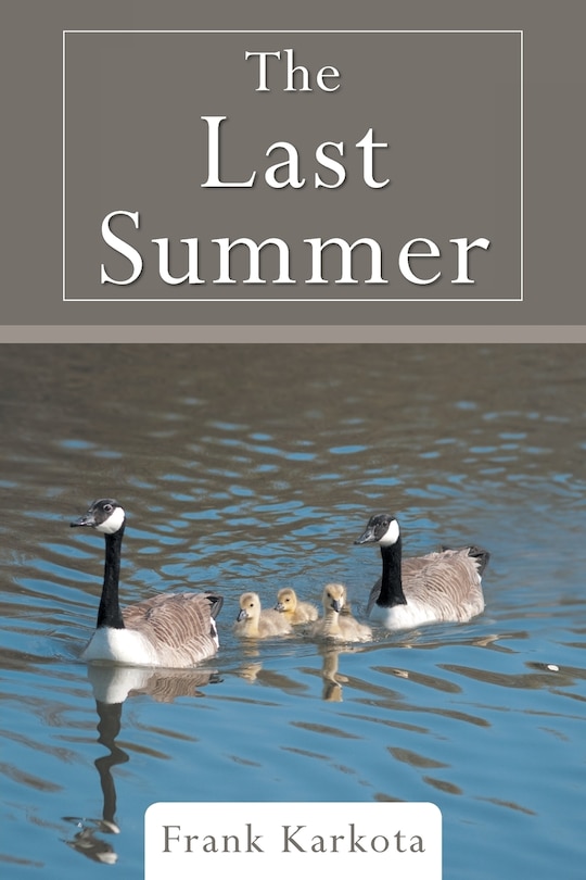 Front cover_The Last Summer