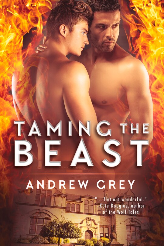 Front cover_Taming the Beast