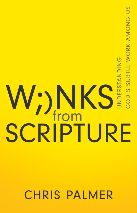 Couverture_Winks from Scripture