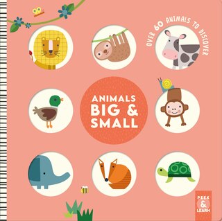 Front cover_Animals Big & Small
