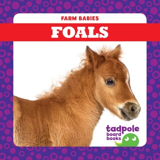 Front cover_Foals