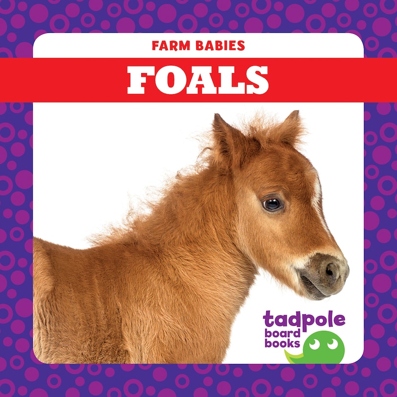Front cover_Foals