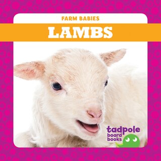 Front cover_Lambs