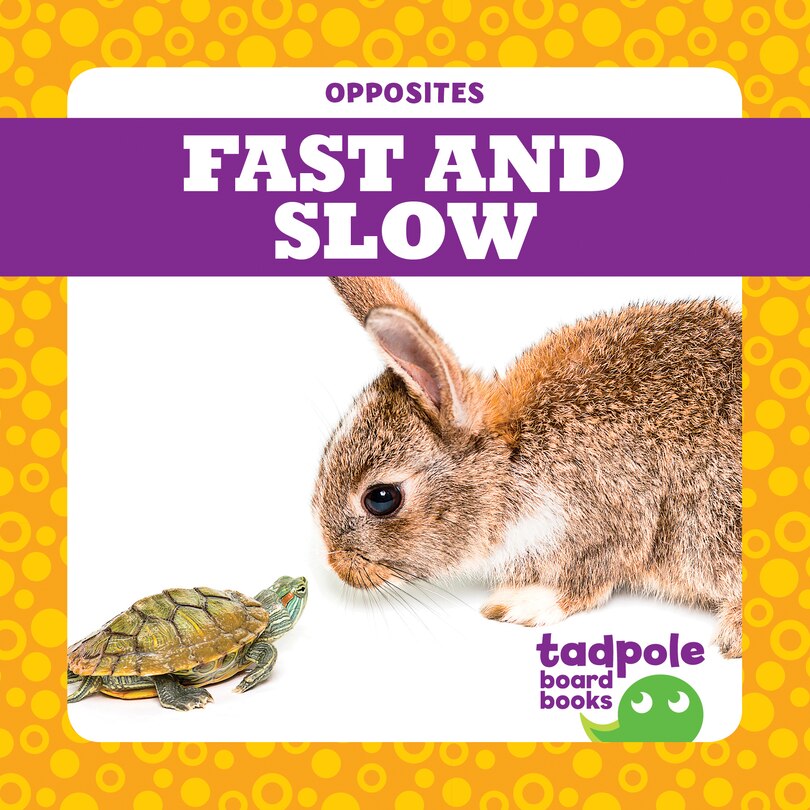 Front cover_Fast and Slow