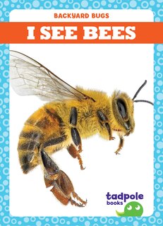 Front cover_I See Bees