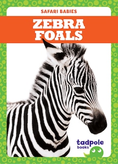 Couverture_Zebra Foals