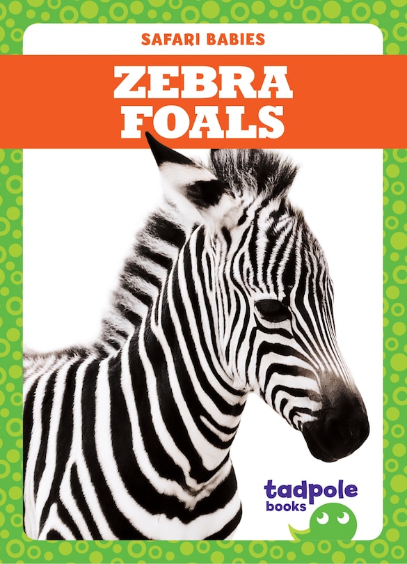 Couverture_Zebra Foals