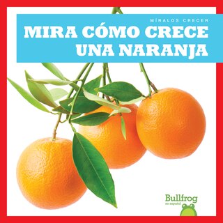Front cover_Mira Cómo Crece Una Naranja (Watch an Orange Grow)