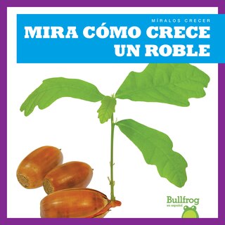 Front cover_Mira Cómo Crece Un Roble (Watch an Oak Tree Grow)