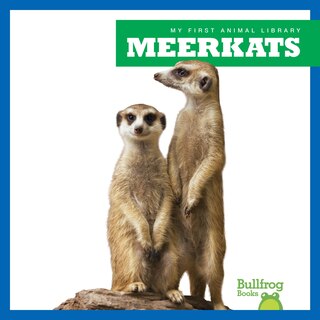 Front cover_Meerkats