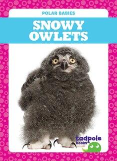 Front cover_Snowy Owlets